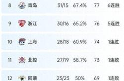 华体会官网-多特蒙德迎CBA季后赛关键赛，集结日临场应变，话题不断，球探报告显示潜力的简单介绍-华体会官网